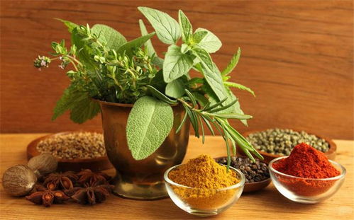 从调味品到育苗盘 邑珍深耕农业产业链的独特路径