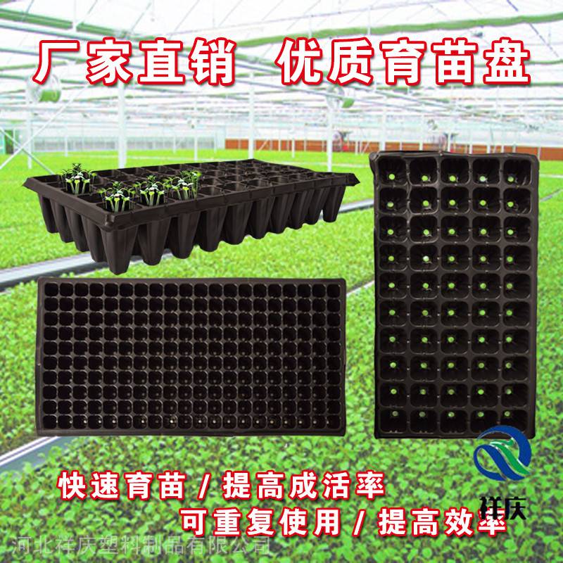 解密穴盘 育苗盘的选择与河北祥庆塑料制品的优势